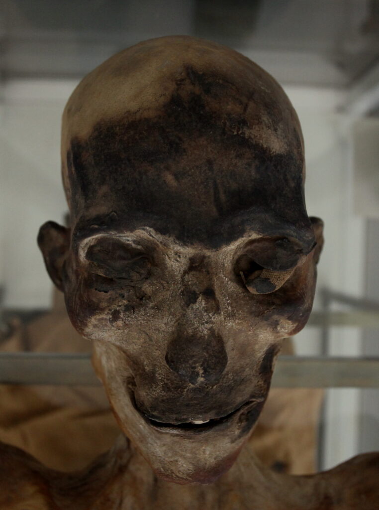 mummia egizia torino, turismo piemonte