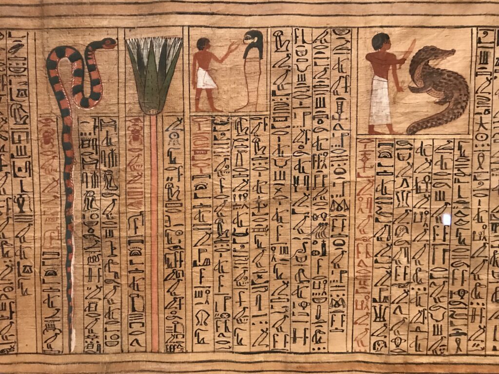 papiro torino, palazzo accademia della scienze