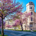 Crocetta: storia e bellezze del quartiere torinese