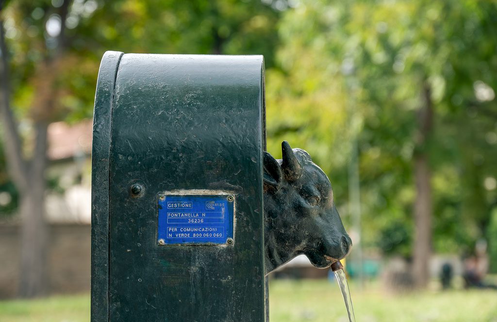 Primo piano del profilo della fontana Toret a Torino, d'estate con clo sfondo del verde del parco Tesoriera.