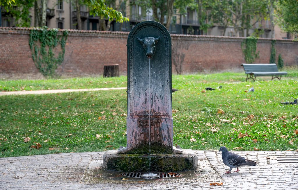 Fontana con nello sfondo le panchine e il verde del prato, con un colombo che si avvicina a bere.